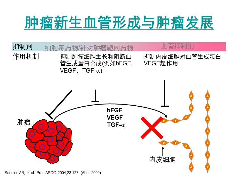 肺癌分子靶向治疗进展.ppt_第1页