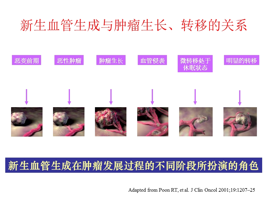 肺癌分子靶向治疗进展.ppt_第3页