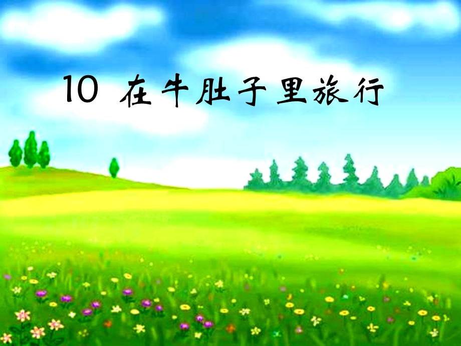 部编本三上10 在牛肚子里旅行.ppt_第1页