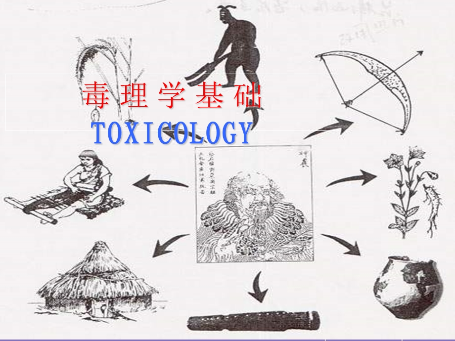 毒理学基础第1章绪论.ppt_第1页