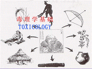 毒理学基础第1章绪论.ppt