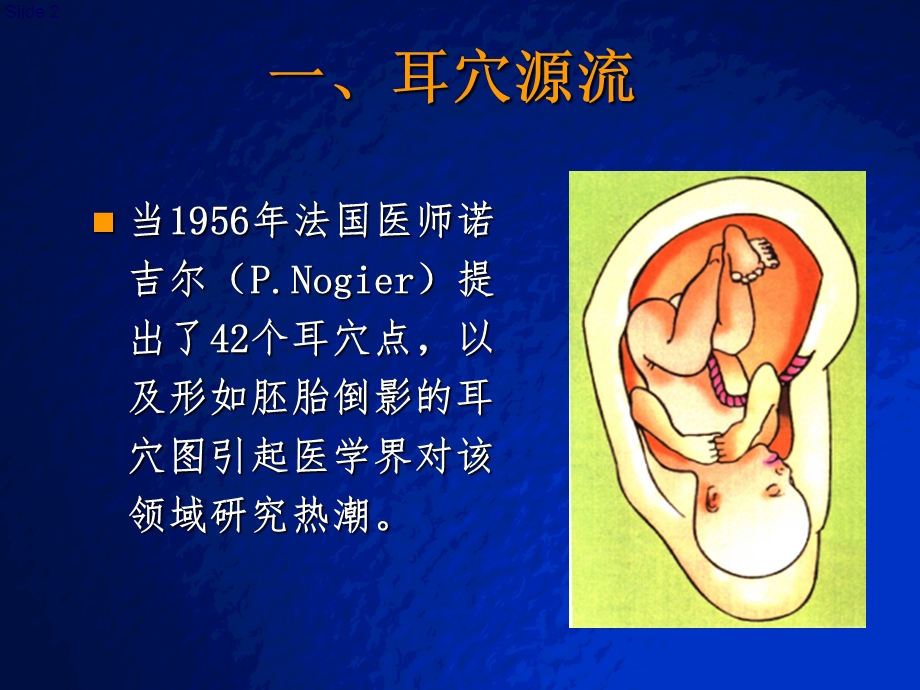 耳穴疗法讲课课件.ppt_第2页