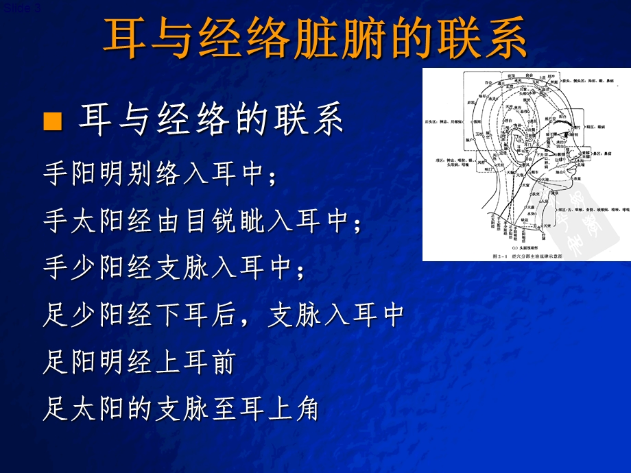 耳穴疗法讲课课件.ppt_第3页