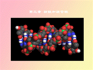 核酸和核苷酸.ppt