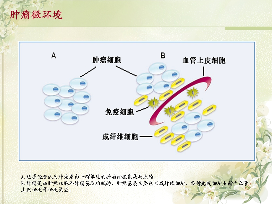 肠癌表达的临床意义及作用机制.ppt_第3页