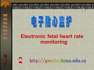 电子胎心监护-陈必良.ppt