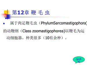 杜氏利什曼原虫.ppt