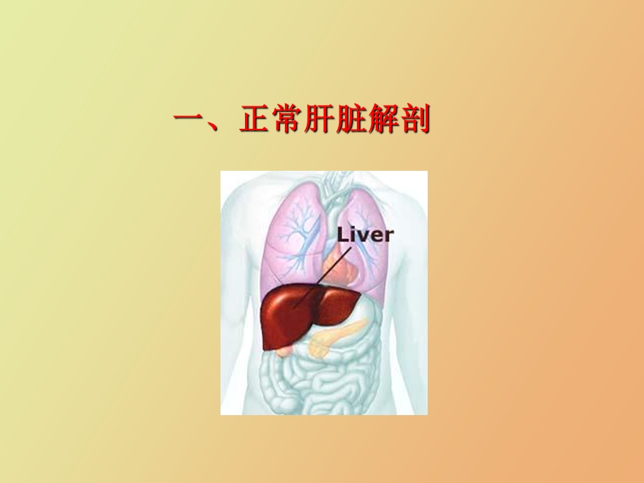 肝脏超声诊断.ppt_第2页