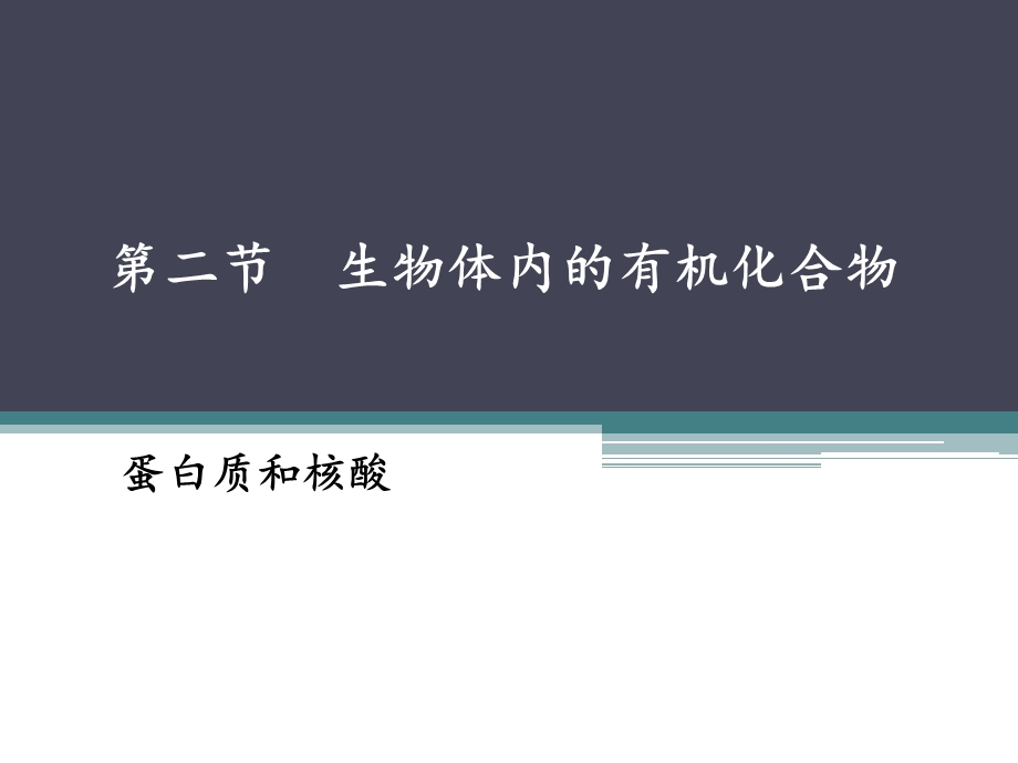 蛋白质、核酸和维生素.ppt_第1页