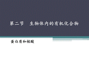 蛋白质、核酸和维生素.ppt