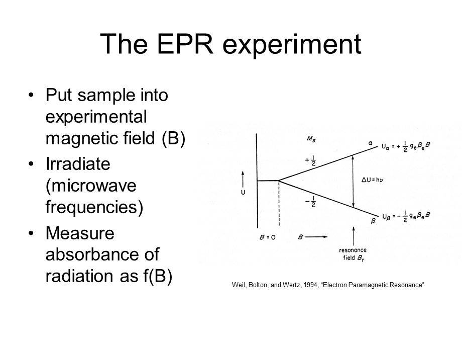 电子自旋共振经典讲座.ppt_第3页