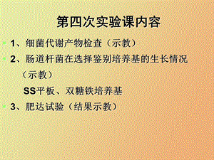 肠道细菌实验.ppt