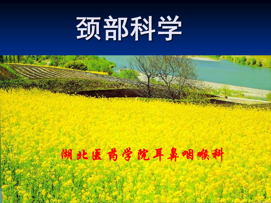 耳鼻咽喉科学七版颈部科学.ppt_第1页