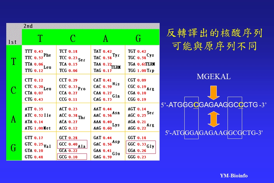 核酸与蛋白质的分析(II).ppt_第3页