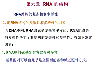 核酸化学RNA的结构.ppt