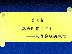 汉唐时期-来自异域的瑰宝.ppt