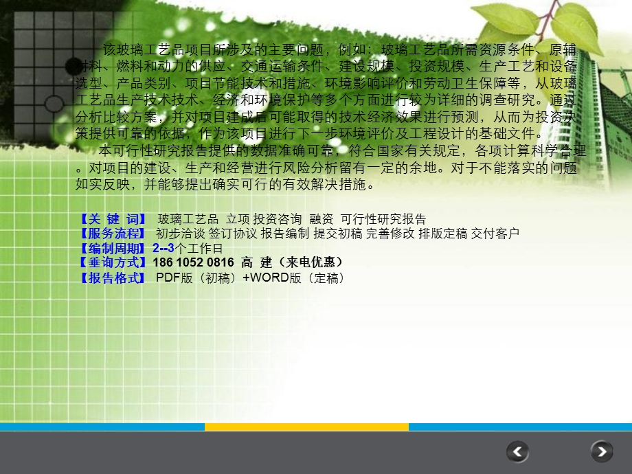 玻璃工艺品项目可行研究报告.ppt_第2页