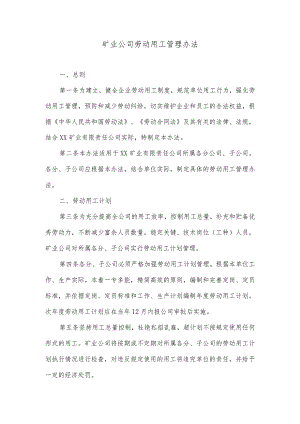 矿业公司劳动用工管理办法.docx