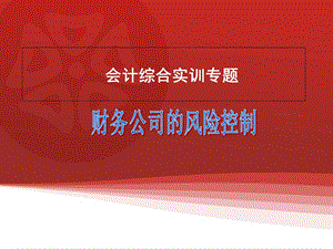 财务公司的风险控制.ppt