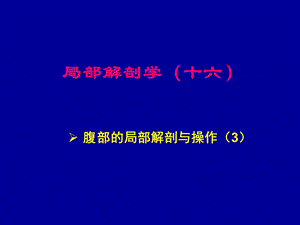 腹部的局部解剖与操作3人体局解剖学.ppt