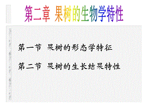 果树的生物学习性.ppt