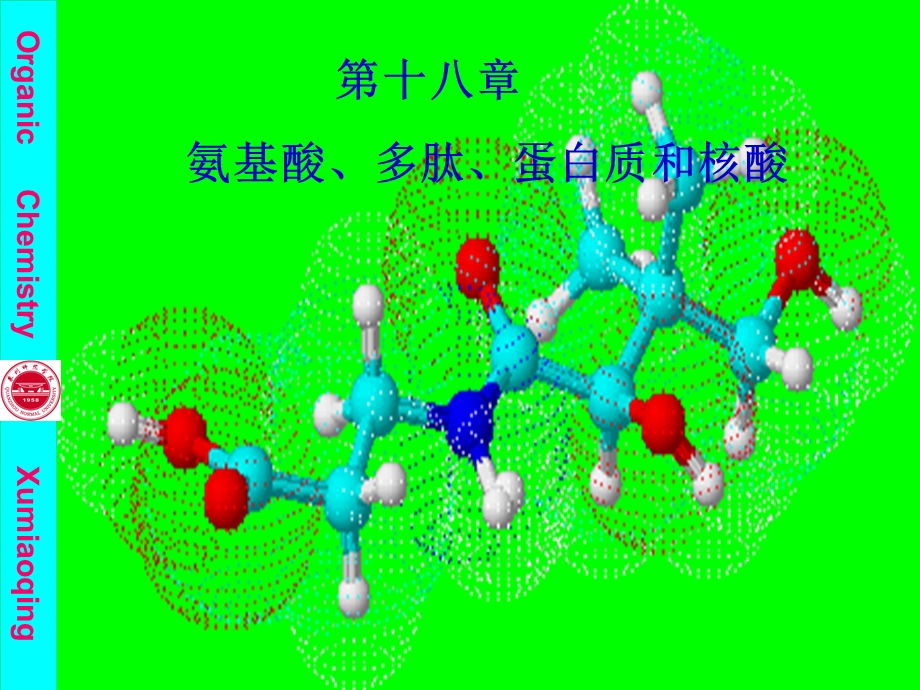 氨基酸、多肽、蛋白质和核酸第.ppt_第1页