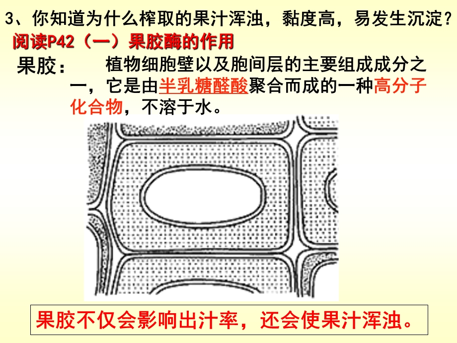 果胶酶在果汁生产中的作用定稿ppt.ppt_第3页