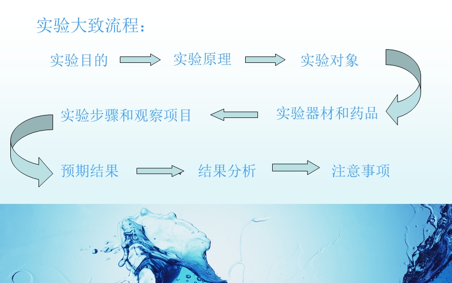 钙离子对心脏节律性的影响.ppt_第3页