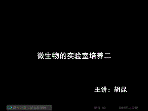 高二生物《微生物的实验室培养二》(课件).ppt