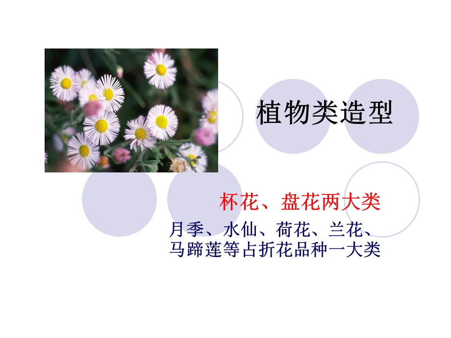 餐巾花的种类和造.ppt_第3页