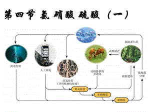 高一化学氨硝酸硫酸.ppt