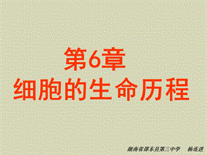 高一生物必修一《细胞的分化》课件(共40张PPT).ppt