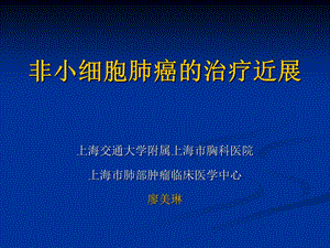 非小细胞肺癌治疗近展.ppt