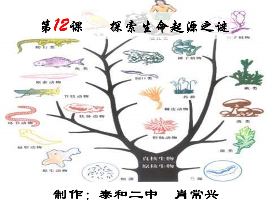 高二年级历史第十二课探索生命起源之谜课件.ppt_第2页