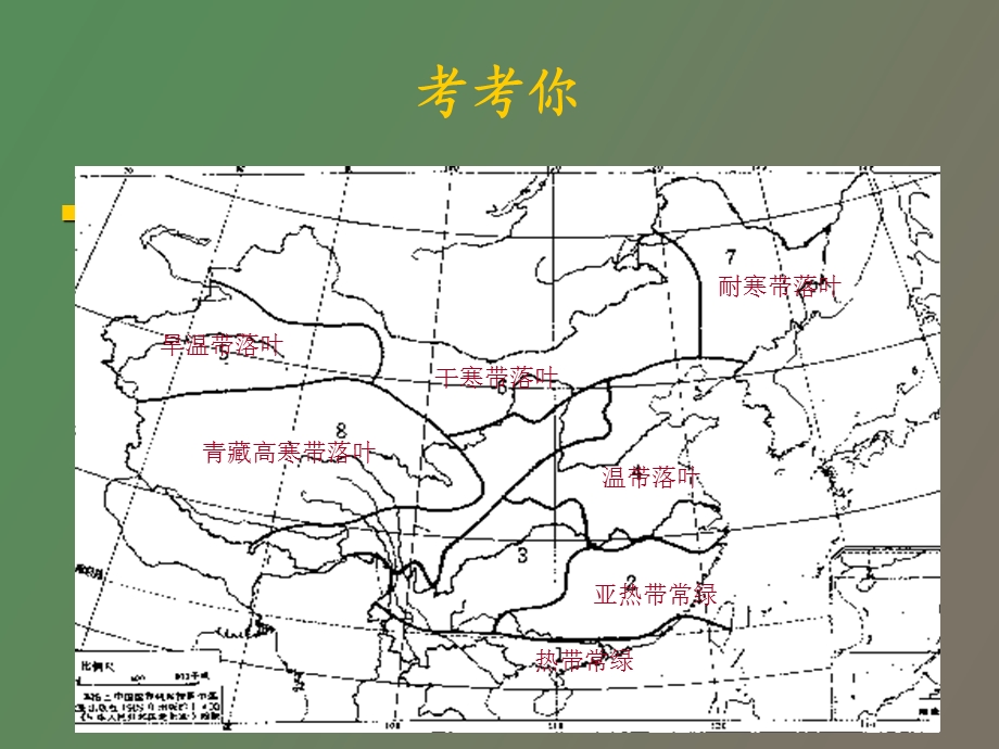 果树生命周期.ppt_第2页