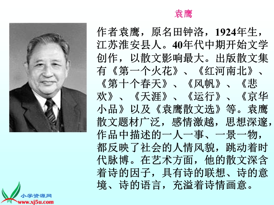 鄂教版六年级下册井冈翠竹课件.ppt_第3页