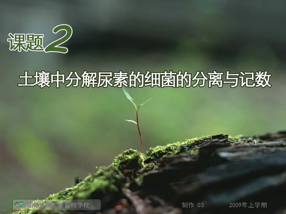 高二生物《土壤中分解尿素的细菌的分离与记数》.ppt_第2页