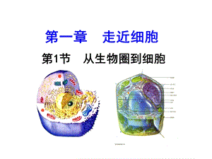 高三生物第一轮复习-必修一全套课件精华版1.ppt