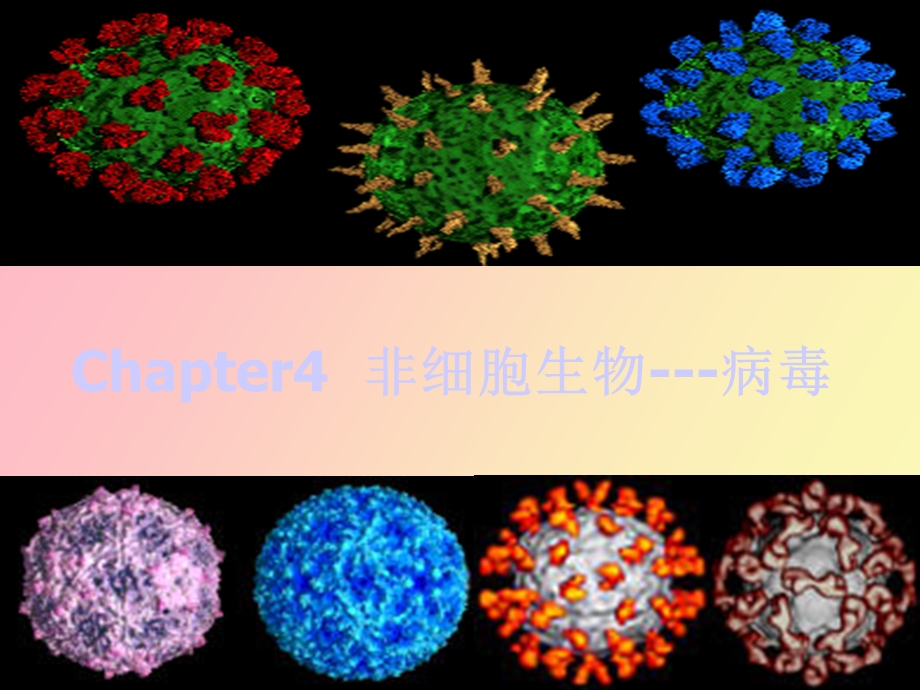 非细胞生物病毒.ppt_第1页