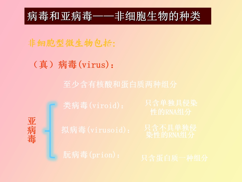 非细胞生物病毒.ppt_第3页