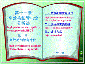 高效毛细管电泳分析法.ppt