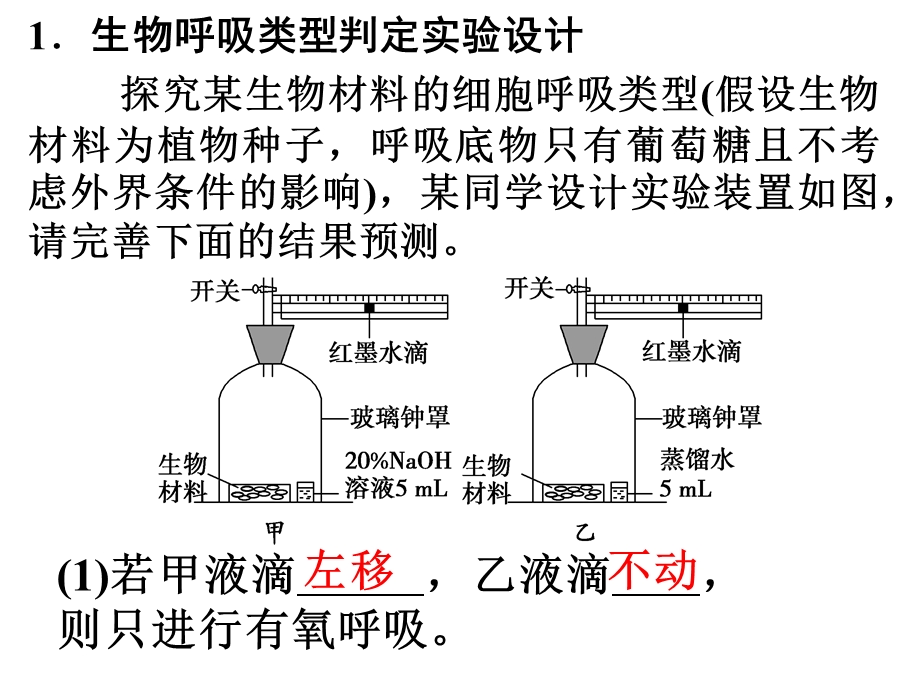 黑白瓶法测定光合作用与细胞呼吸.ppt_第2页