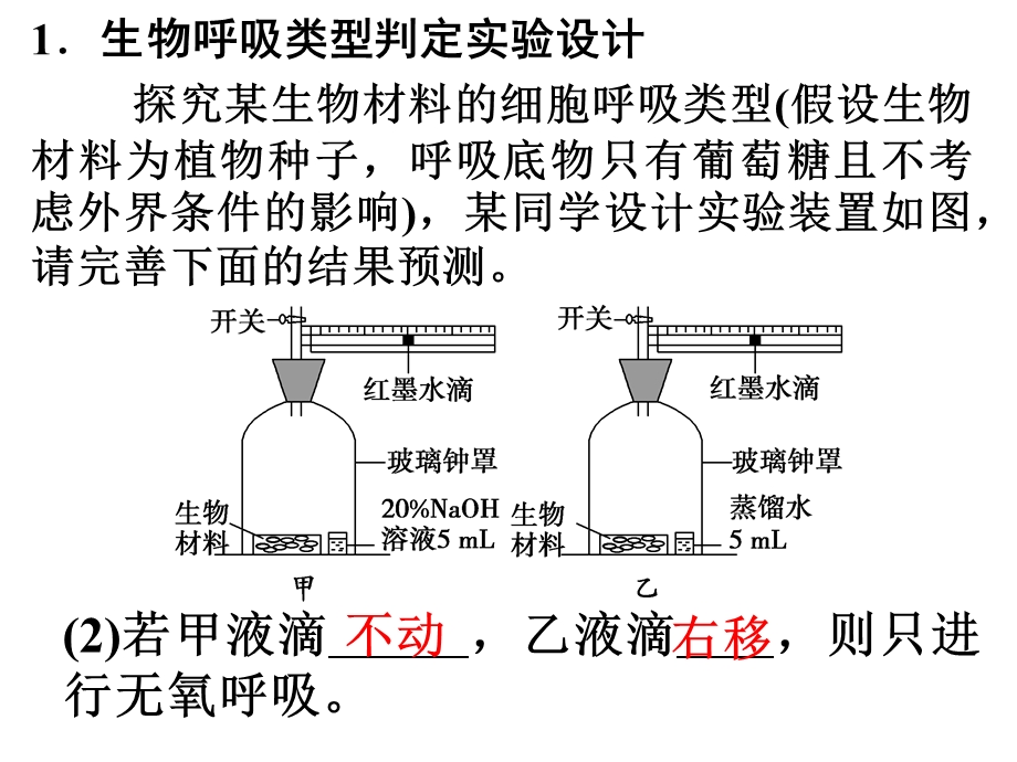 黑白瓶法测定光合作用与细胞呼吸.ppt_第3页