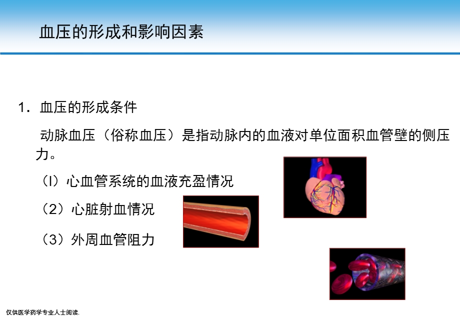 高血压的发病机制与病理生理.ppt_第3页