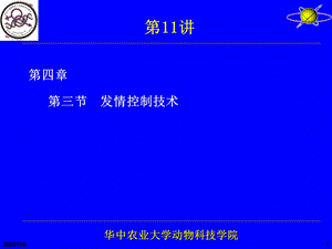 雌性动物性机能发育和发情排卵及其调控.ppt