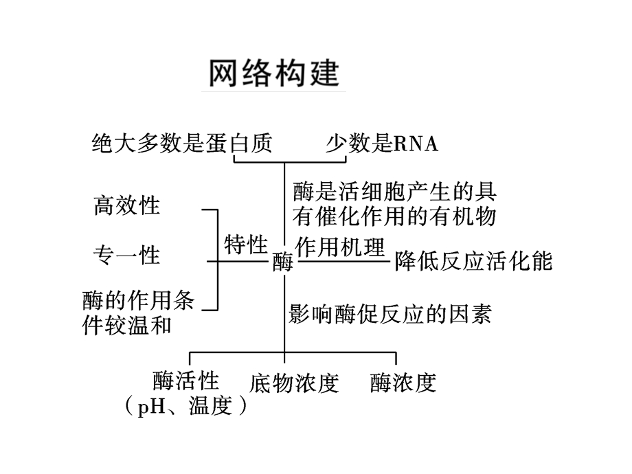 高三生物《二轮：细胞代谢专题之一：酶和ATP》(课件).ppt_第2页