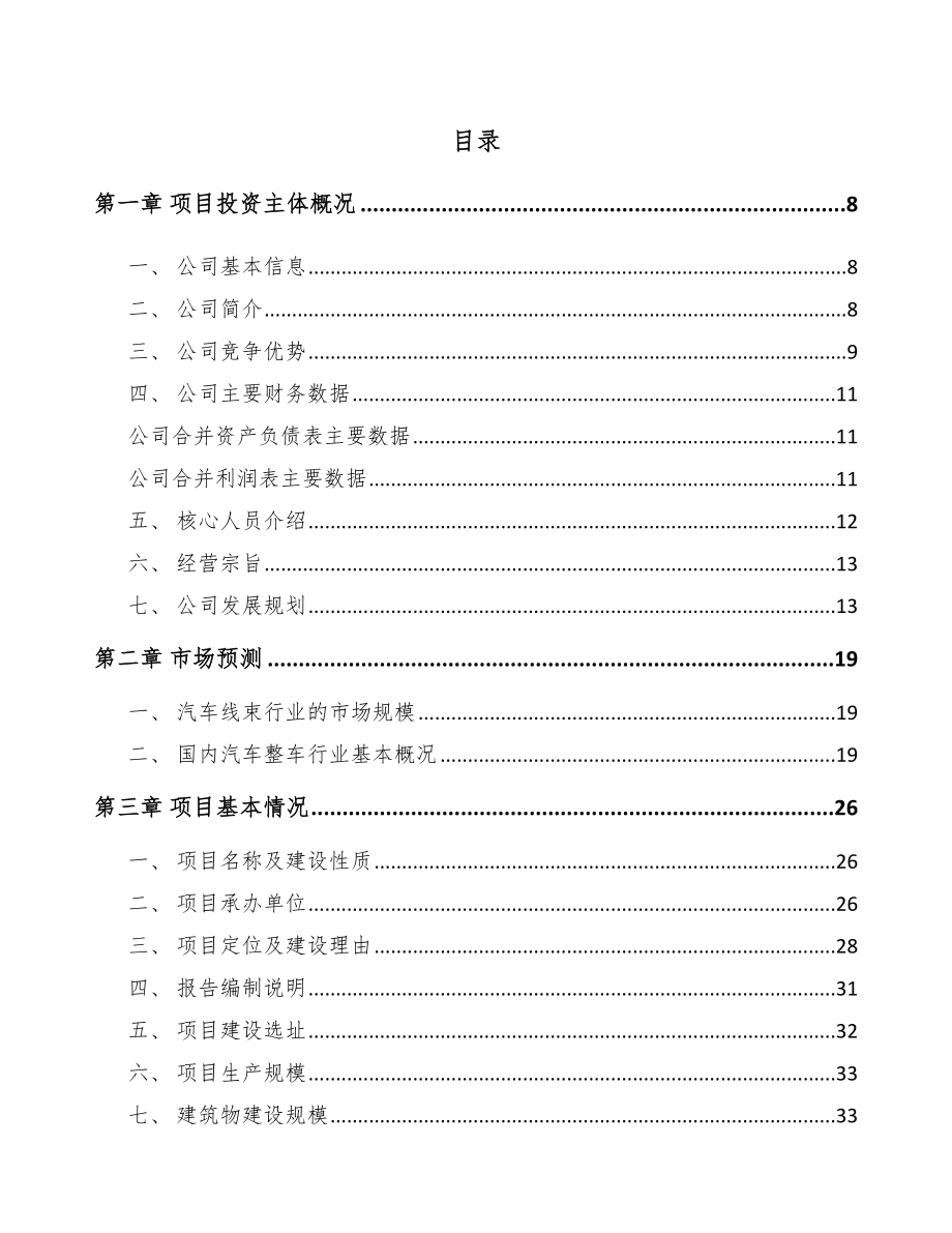 平顶山汽车线束项目可行性研究报告.docx_第2页