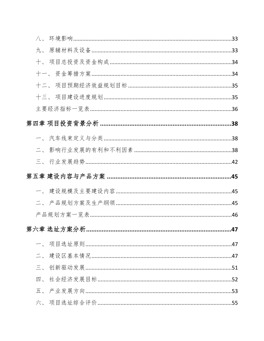 平顶山汽车线束项目可行性研究报告.docx_第3页