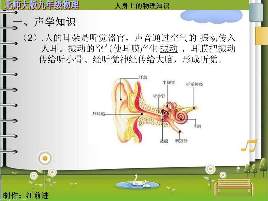 人身上的物理知识.ppt_第2页