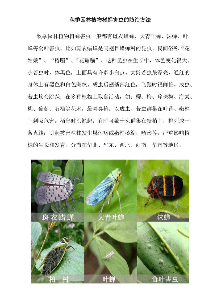 园林植物树蝉害虫的防治方法.docx_第1页